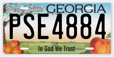 GA license plate PSE4884
