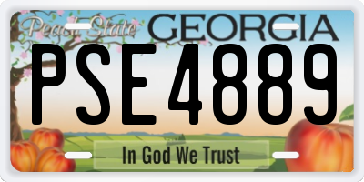 GA license plate PSE4889