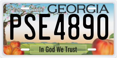 GA license plate PSE4890