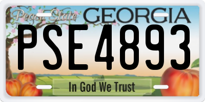 GA license plate PSE4893