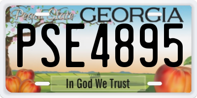 GA license plate PSE4895