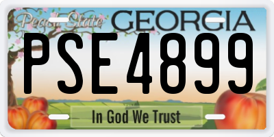 GA license plate PSE4899