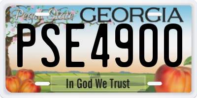 GA license plate PSE4900