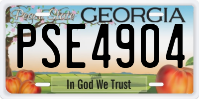 GA license plate PSE4904