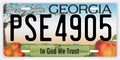 GA license plate PSE4905