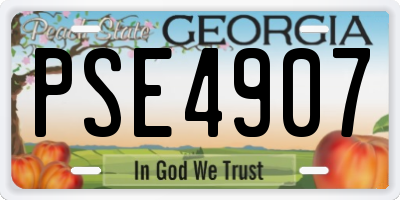 GA license plate PSE4907