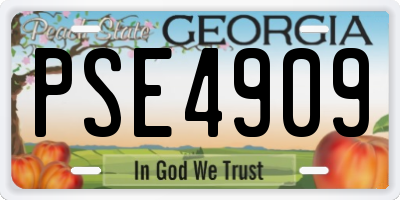 GA license plate PSE4909