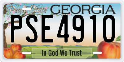 GA license plate PSE4910