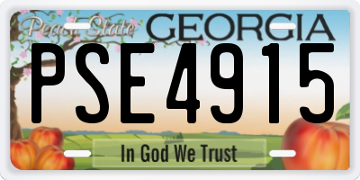 GA license plate PSE4915
