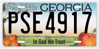 GA license plate PSE4917