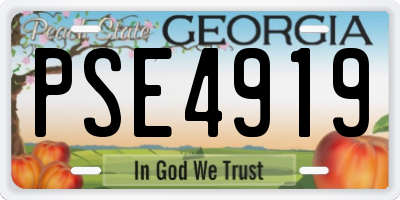 GA license plate PSE4919