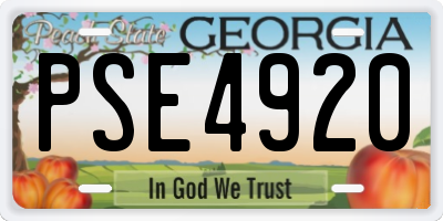 GA license plate PSE4920
