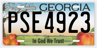 GA license plate PSE4923
