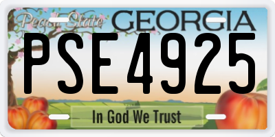 GA license plate PSE4925