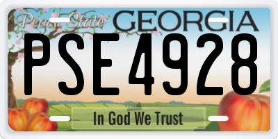 GA license plate PSE4928