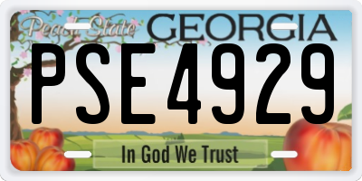 GA license plate PSE4929