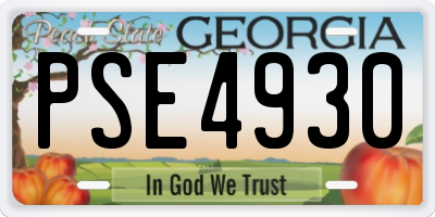 GA license plate PSE4930
