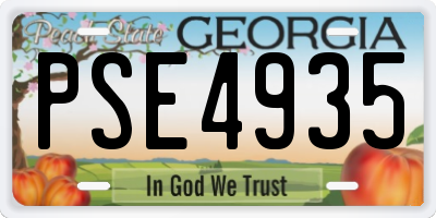 GA license plate PSE4935