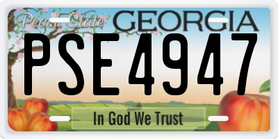 GA license plate PSE4947
