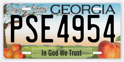 GA license plate PSE4954