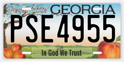 GA license plate PSE4955