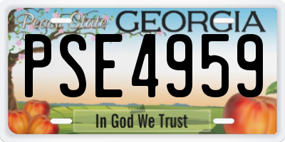 GA license plate PSE4959