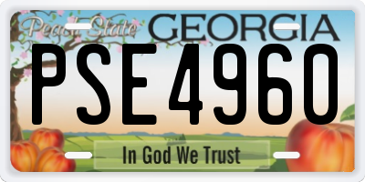 GA license plate PSE4960