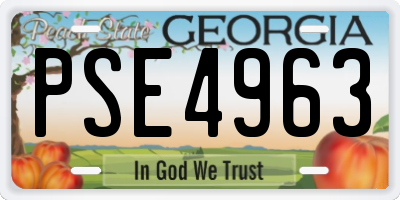 GA license plate PSE4963