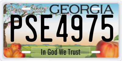 GA license plate PSE4975