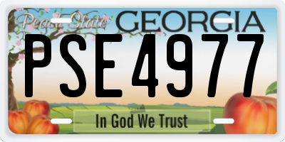 GA license plate PSE4977