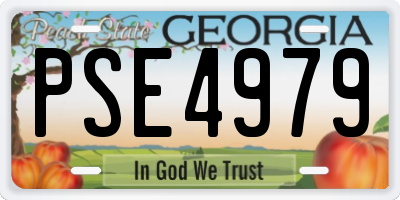 GA license plate PSE4979
