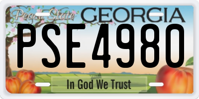 GA license plate PSE4980