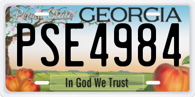 GA license plate PSE4984