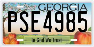 GA license plate PSE4985