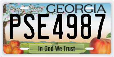 GA license plate PSE4987