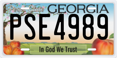 GA license plate PSE4989