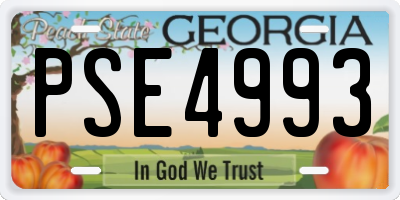 GA license plate PSE4993