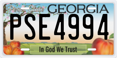 GA license plate PSE4994