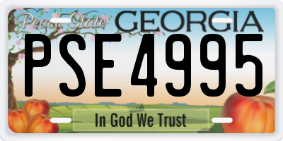 GA license plate PSE4995