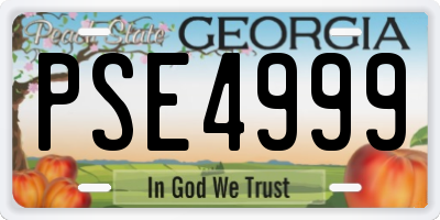 GA license plate PSE4999