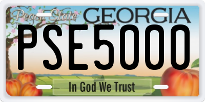 GA license plate PSE5000