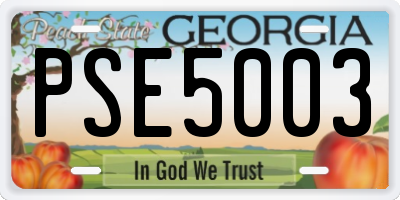 GA license plate PSE5003
