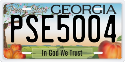 GA license plate PSE5004