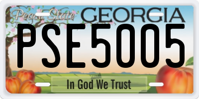 GA license plate PSE5005