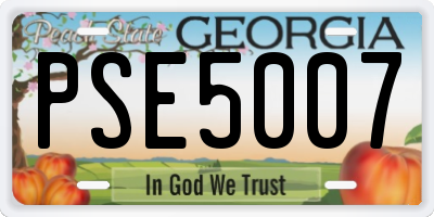 GA license plate PSE5007