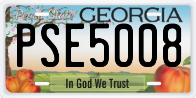 GA license plate PSE5008