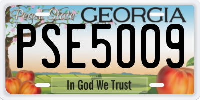 GA license plate PSE5009