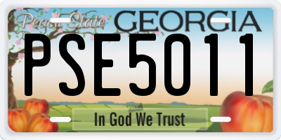 GA license plate PSE5011