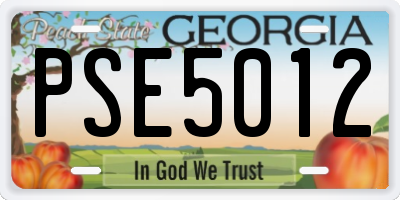 GA license plate PSE5012