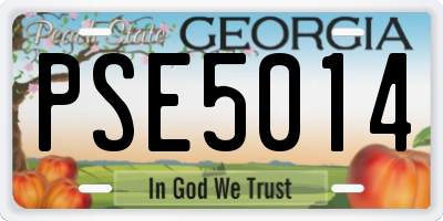 GA license plate PSE5014